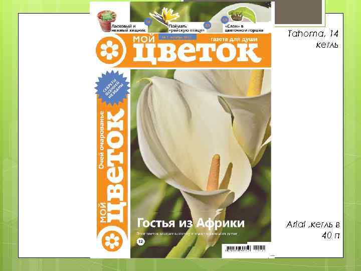 Tahoma, 14 кегль Arial , кегль в 40 п 