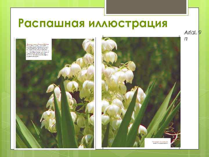 Распашная иллюстрация Arial, 9 п 