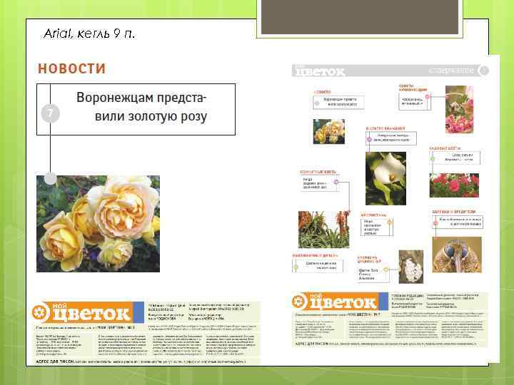 Arial, кегль 9 п. Оглавление 