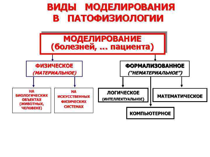 ВИДЫ МОДЕЛИРОВАНИЯ В ПАТОФИЗИОЛОГИИ МОДЕЛИРОВАНИЕ (болезней, … пациента) 2/5/2018 10 