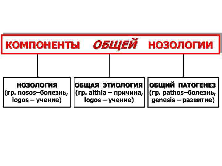 КОМПОНЕНТЫ 2/5/2018 ОБЩЕЙ НОЗОЛОГИИ 14 