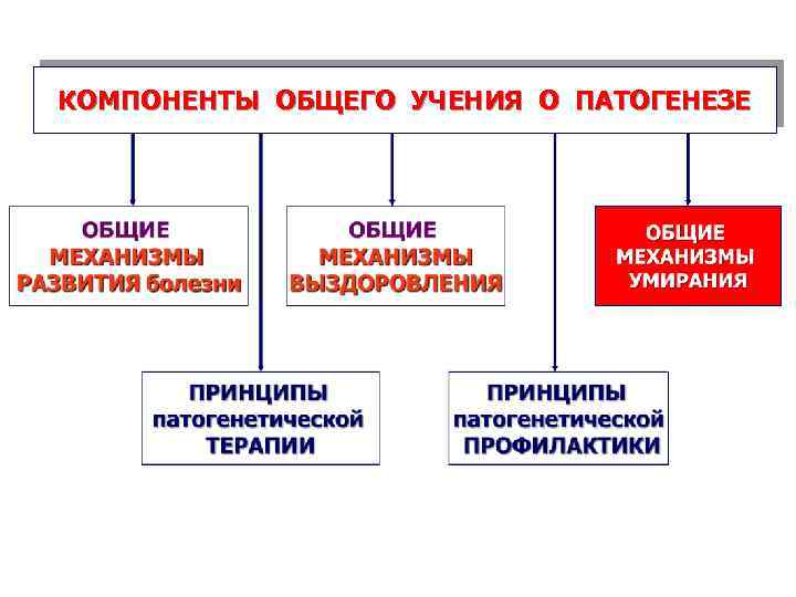 КОМПОНЕНТЫ ОБЩЕГО УЧЕНИЯ О ПАТОГЕНЕЗЕ 2/5/2018 16 