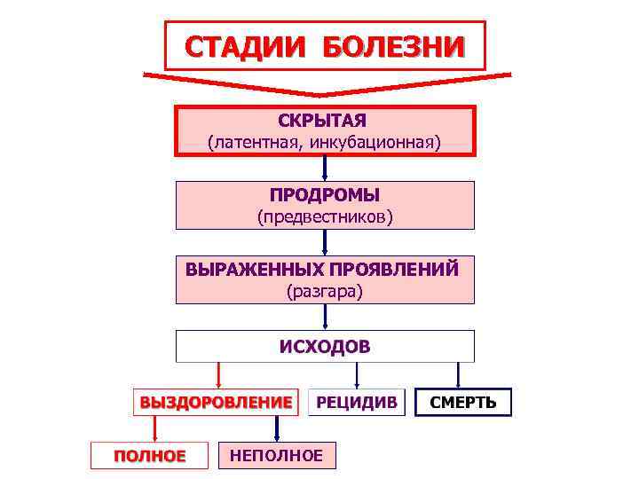 СТАДИИ БОЛЕЗНИ СКРЫТАЯ (латентная, инкубационная) ПРОДРОМЫ (предвестников) ВЫРАЖЕННЫХ ПРОЯВЛЕНИЙ (разгара) 2/5/2018 НЕПОЛНОЕ 22 