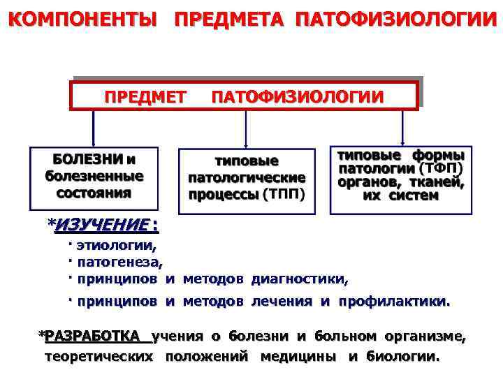 КОМПОНЕНТЫ ПРЕДМЕТА ПАТОФИЗИОЛОГИИ ПРЕДМЕТ ПАТОФИЗИОЛОГИИ * ИЗУЧЕНИЕ : · этиологии, · патогенеза, · принципов