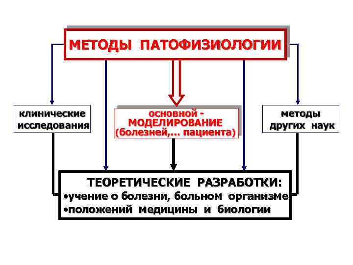 МЕТОДЫ ПАТОФИЗИОЛОГИИ ТЕОРЕТИЧЕСКИЕ РАЗРАБОТКИ: • учение о болезни, больном организме • положений медицины и