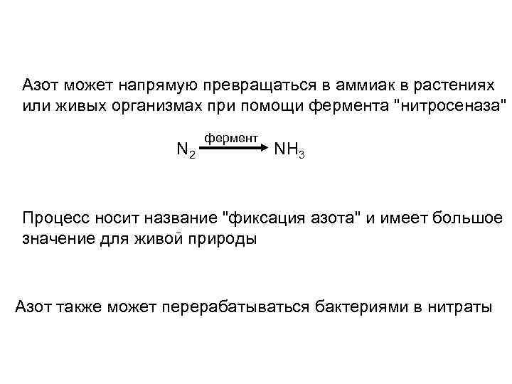 Азот может напрямую превращаться в аммиак в растениях или живых организмах при помощи фермента