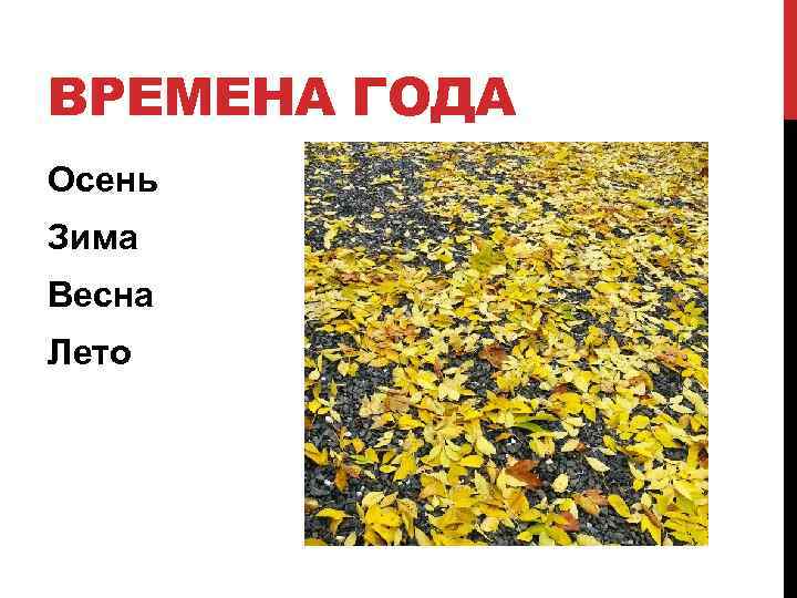 ВРЕМЕНА ГОДА Осень Зима Весна Лето 