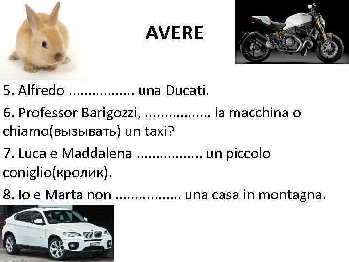 AVERE 5. Alfredo. . . . una Ducati. 6. Professor Barigozzi, . . .