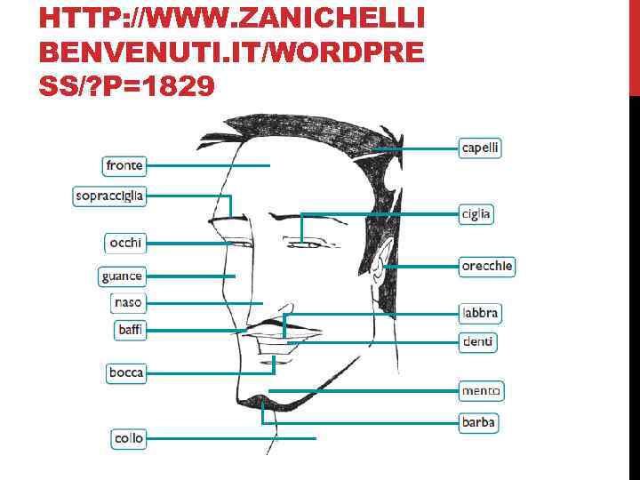 HTTP: //WWW. ZANICHELLI BENVENUTI. IT/WORDPRE SS/? P=1829 