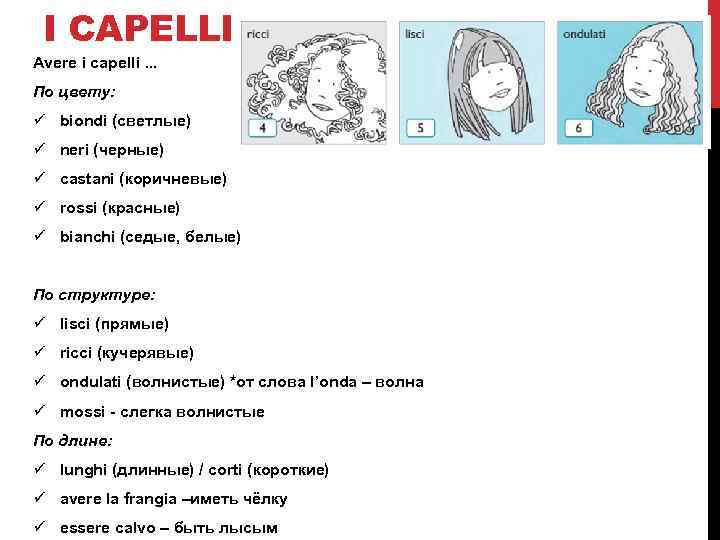 I CAPELLI Avere i capelli. . . По цвету: ü biondi (светлые) ü neri