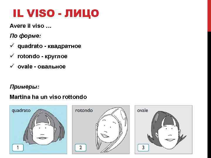 IL VISO - ЛИЦО Avere il viso … По форме: ü quadrato - квадратное