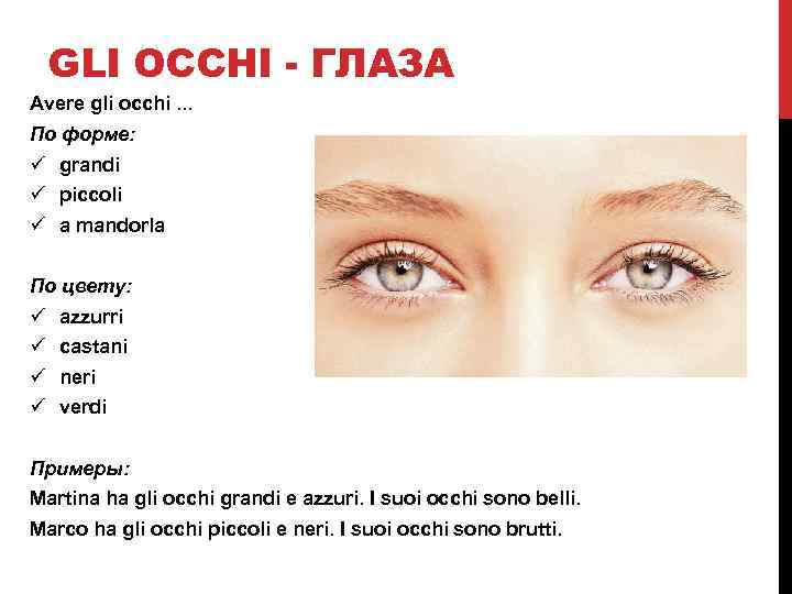 GLI OCCHI - ГЛАЗА Avere gli occhi. . . По форме: ü grandi ü
