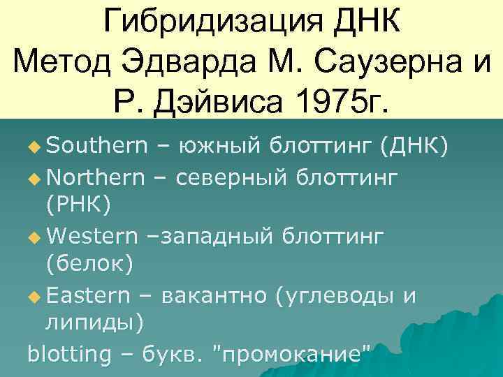 Гибридизация ДНК Метод Эдварда М. Саузерна и Р. Дэйвиса 1975 г. u Southern –