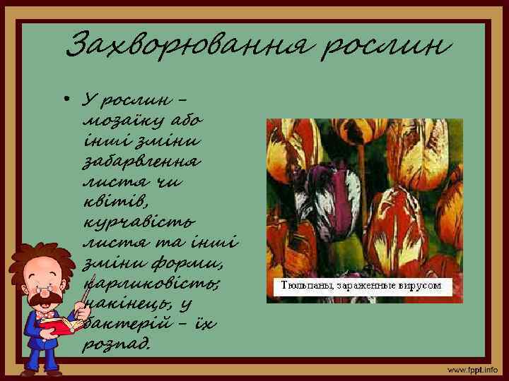Захворювання рослин • У рослин мозаїку або інші зміни забарвлення листя чи квітів, курчавість