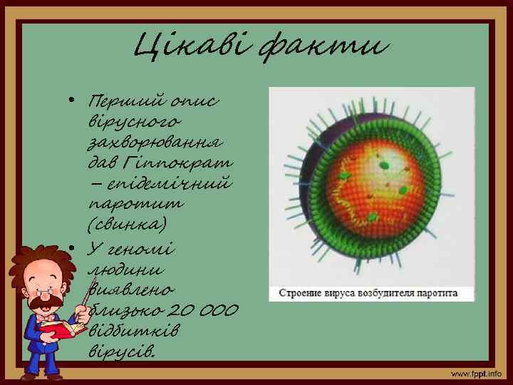 Цікаві факти • Перший опис вірусного захворювання дав Гіппократ – епідемічний паротит (свинка) •