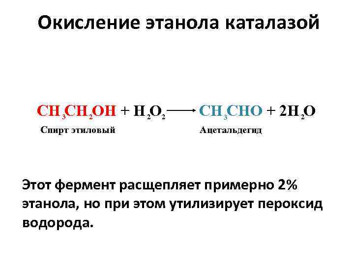 Окисление этанола каталазой СН 3 CН 2 ОН + H 2 O 2 Спирт