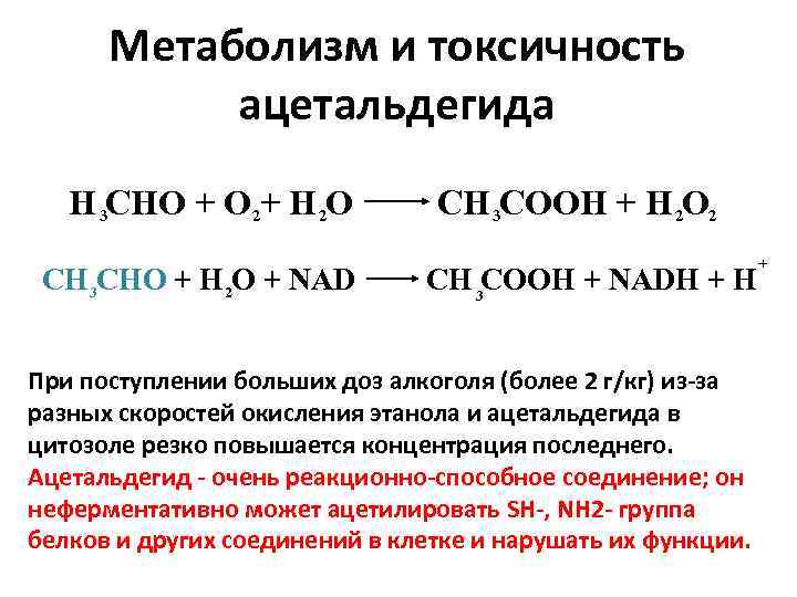 Метаболизм и токсичность ацетальдегида Н 3 CHO + O 2+ H 2 O CH