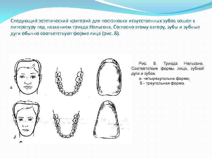 Окклюдаторы и артикуляторы презентация