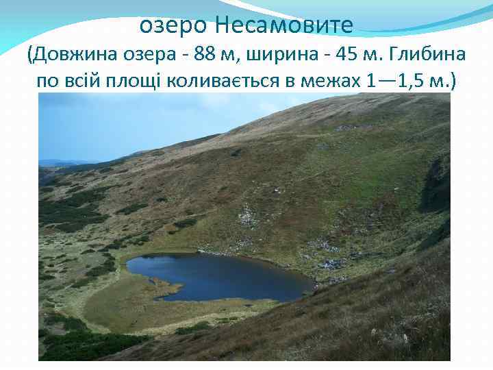 озеро Несамовите (Довжина озера - 88 м, ширина - 45 м. Глибина по всій