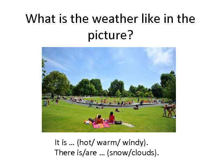 what-is-the-weather-like-in-the-picture