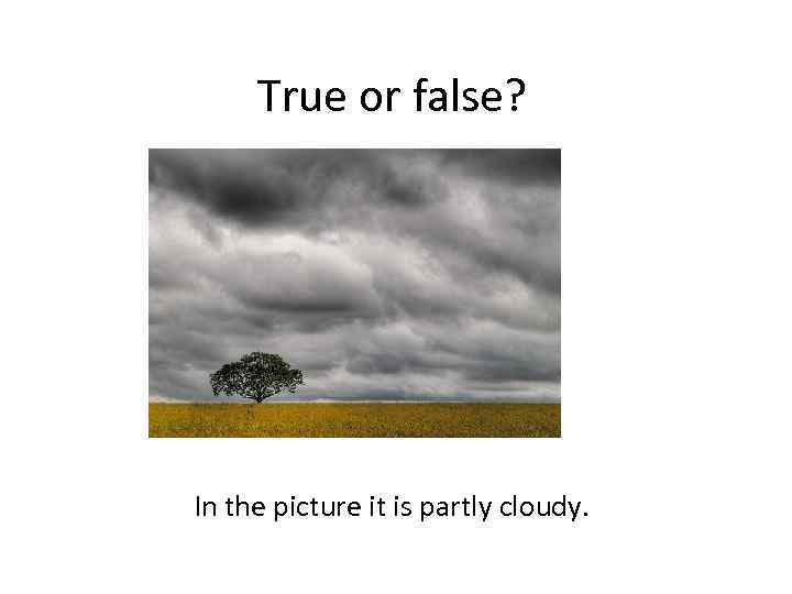True or false? In the picture it is partly cloudy. 