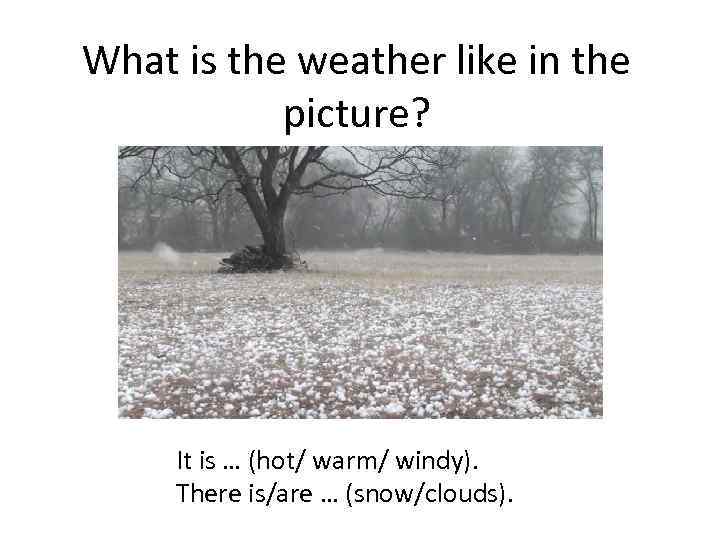 What is the weather like in the picture? It is … (hot/ warm/ windy).