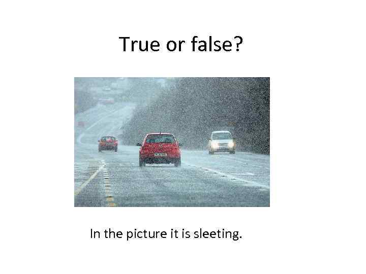 True or false? In the picture it is sleeting. 