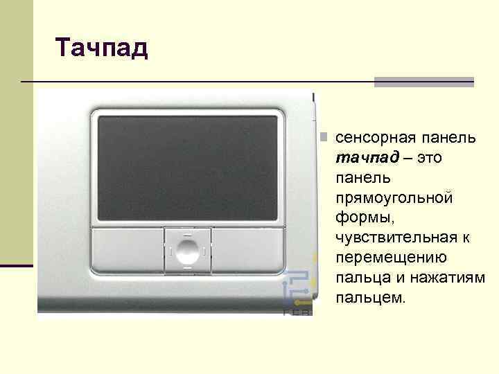 Тачпад n сенсорная панель тачпад – это панель прямоугольной формы, чувствительная к перемещению пальца