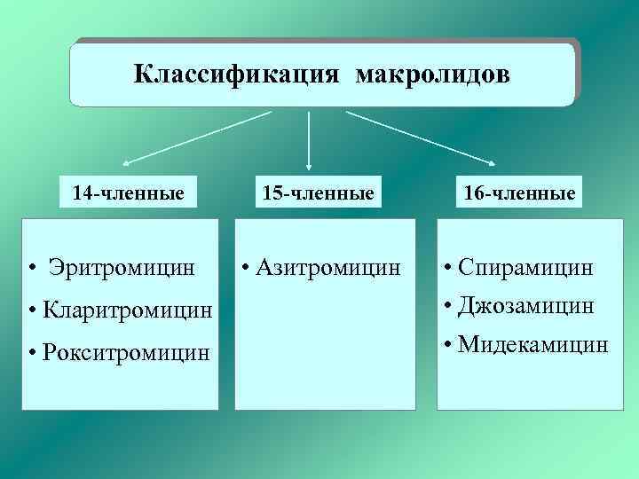 Классификация макролидов 14 -членные • Эритромицин 15 -членные 16 -членные • Азитромицин • Спирамицин