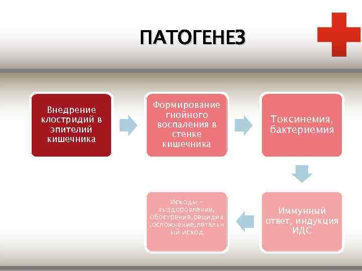 ПАТОГЕНЕЗ Внедрение клостридий в эпителий кишечника Формирование гнойного воспаления в стенке кишечника Исходы выздоровление,