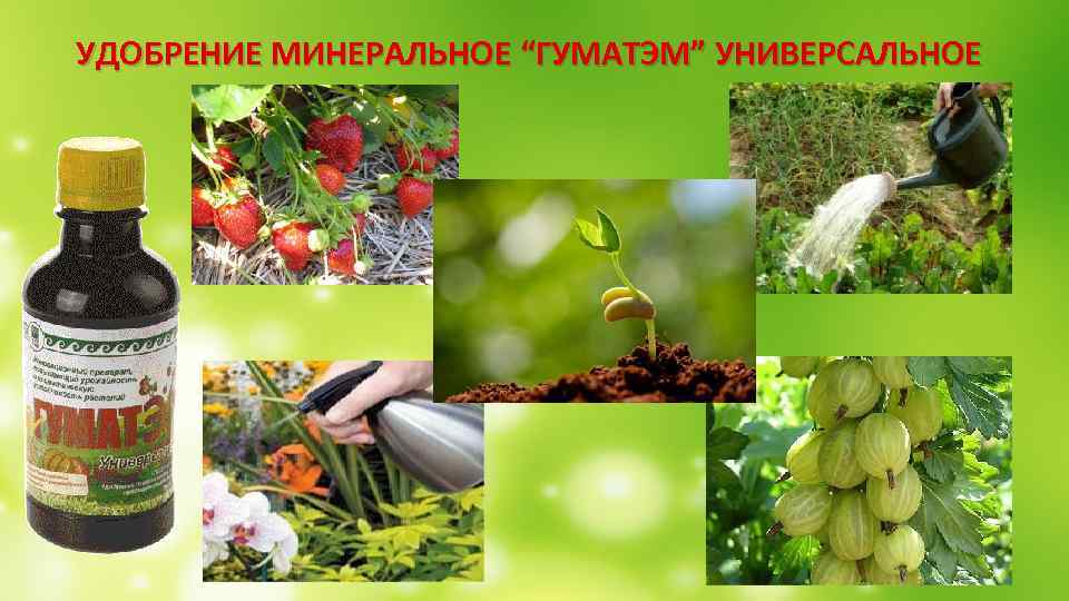  УДОБРЕНИЕ МИНЕРАЛЬНОЕ “ГУМАТЭМ” УНИВЕРСАЛЬНОЕ 