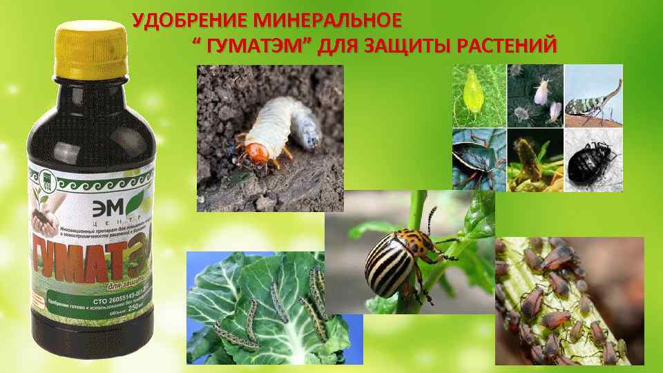  УДОБРЕНИЕ МИНЕРАЛЬНОЕ “ ГУМАТЭМ” ДЛЯ ЗАЩИТЫ РАСТЕНИЙ 