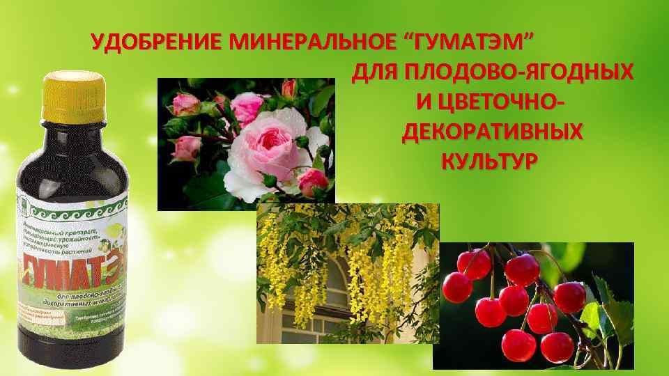 УДОБРЕНИЕ МИНЕРАЛЬНОЕ “ГУМАТЭМ” ДЛЯ ПЛОДОВО-ЯГОДНЫХ И ЦВЕТОЧНО- ДЕКОРАТИВНЫХ КУЛЬТУР 