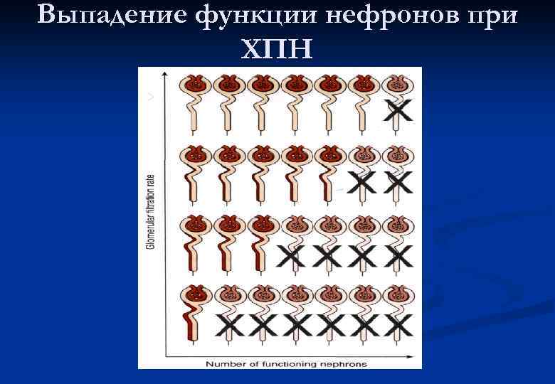 Выпадение функции нефронов при ХПН 