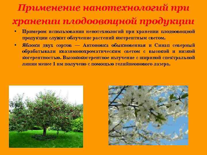 Применение нанотехнологий при хранении плодоовощной продукции • • Примером использовании ненотехнологий при хранении плодоовощной