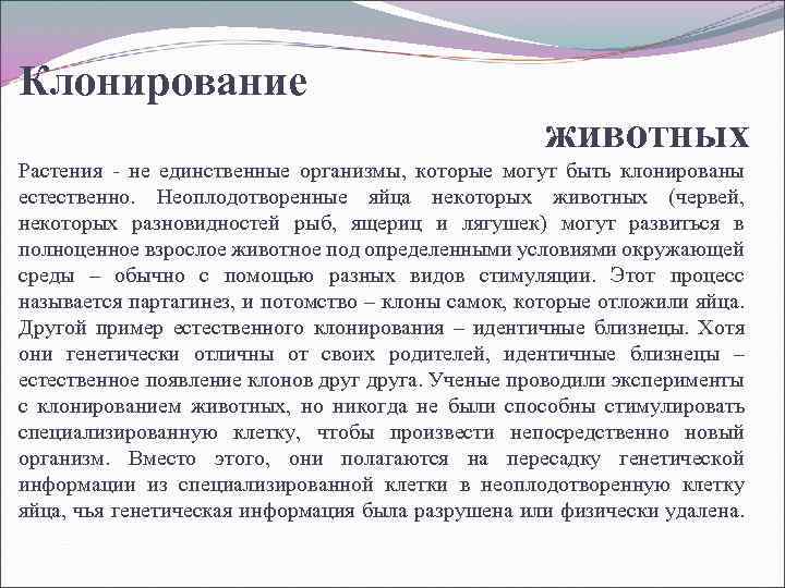 Клонирование животных Растения - не единственные организмы, которые могут быть клонированы естественно. Неоплодотворенные яйца
