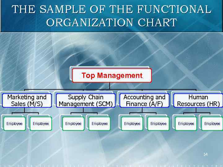 THE SAMPLE OF THE FUNCTIONAL ORGANIZATION CHART Top Management Marketing and Sales (M/S) Employee