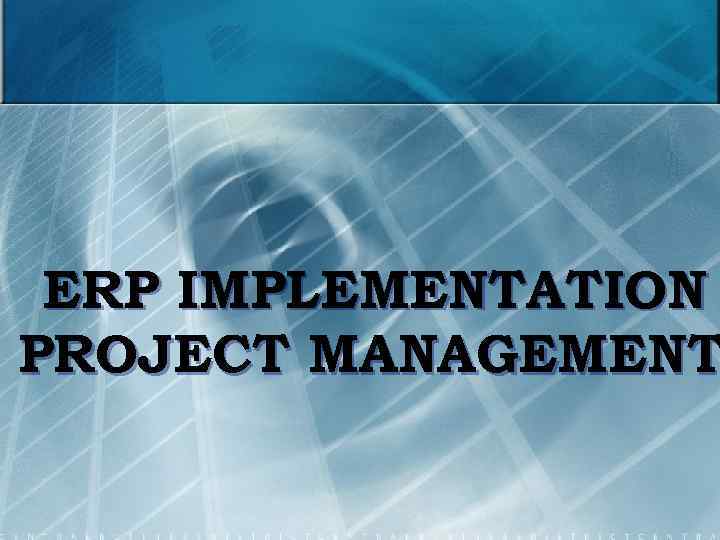 ERP IMPLEMENTATION PROJECT MANAGEMENT 