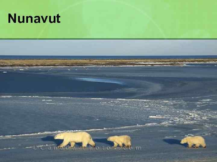 Nunavut 