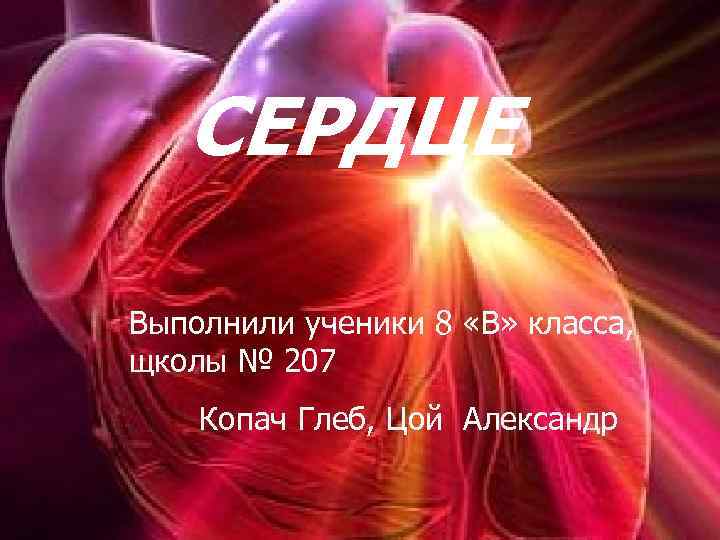 СЕРДЦЕ Сердцеи Сердце кровообращение Выполнили ученики 8 «В» класса, щколы № 207 класса, Копач