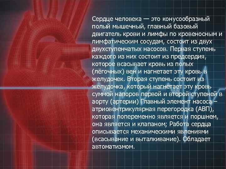 Сердце человека — это конусообразный полый мышечный, главный базовый двигатель крови и лимфы по