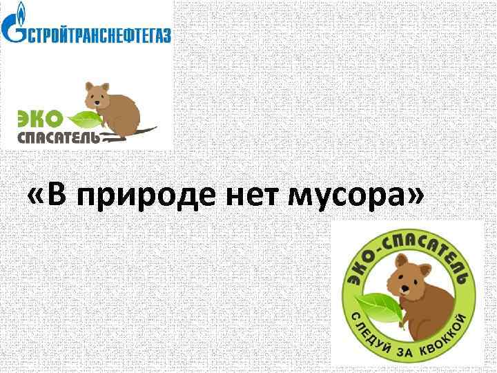  «В природе нет мусора» 