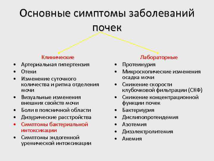 Основные симптомы заболеваний почек • • Клинические Артериальная гипертензия Отеки Изменение суточного количества и