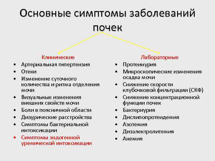 Основные симптомы заболеваний почек • • Клинические Артериальная гипертензия Отеки Изменение суточного количества и