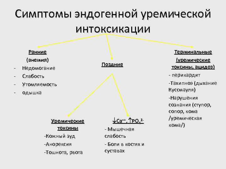 Симптомы эндогенной уремической интоксикации - Ранние (анемия) Недомогание Слабость Утомляемость одышка Уремические токсины -Кожный