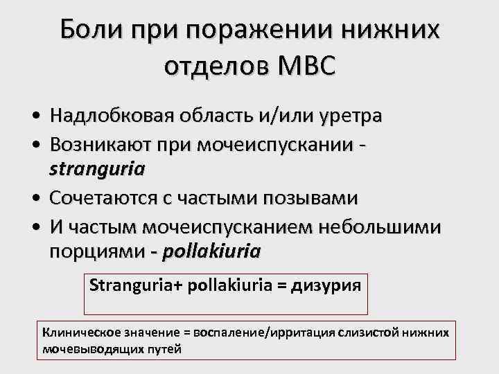 Боли при поражении нижних отделов МВС • Надлобковая область и/или уретра • Возникают при