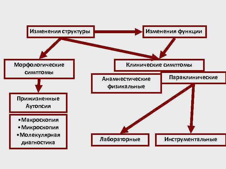 Изменения структуры Морфологические симптомы Изменения функции Клинические симптомы Анамнестические физикальные Параклинические Прижизненные Аутопсия •