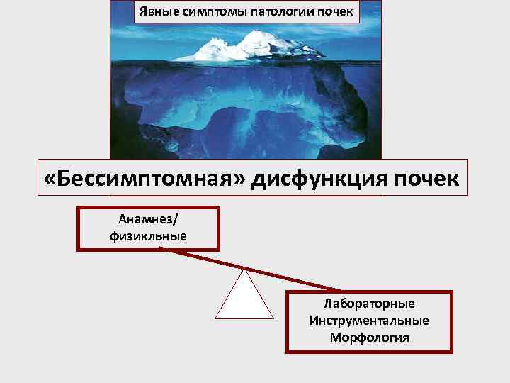 Явные симптомы патологии почек «Бессимптомная» дисфункция почек Анамнез/ физикльные Лабораторные Инструментальные Морфология 