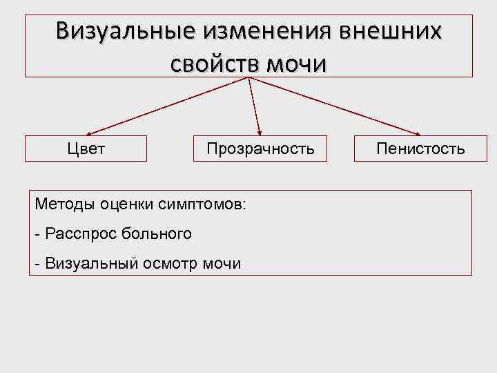 Визуальные изменения внешних свойств мочи Цвет Прозрачность Методы оценки симптомов: - Расспрос больного -