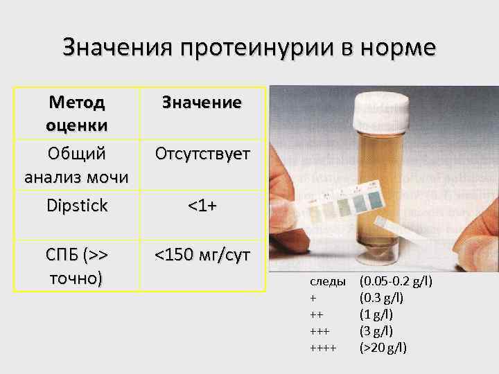 Значения протеинурии в норме Метод оценки Общий анализ мочи Dipstick СПБ (>> точно) Значение